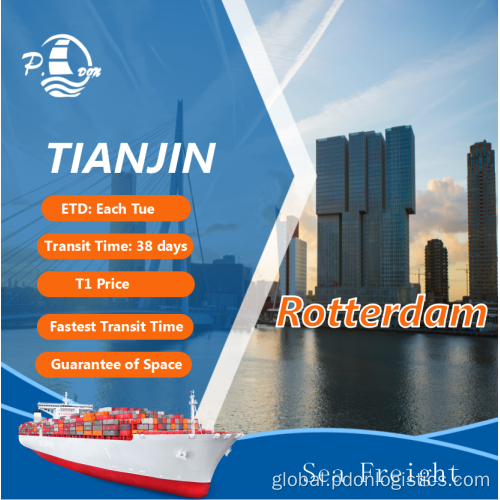 Sea Freight From Tianjin To Rotterdam